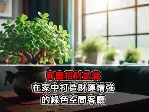 財位蟾蜍|蟾蜍要怎麼放？增強財運的風水祕訣 